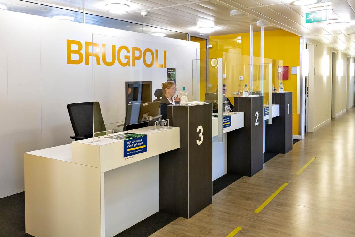 Brugpoli