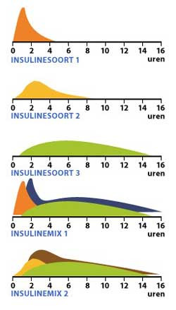 5 profielen