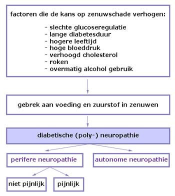 factoren-die-de-kans-op-neuropathie